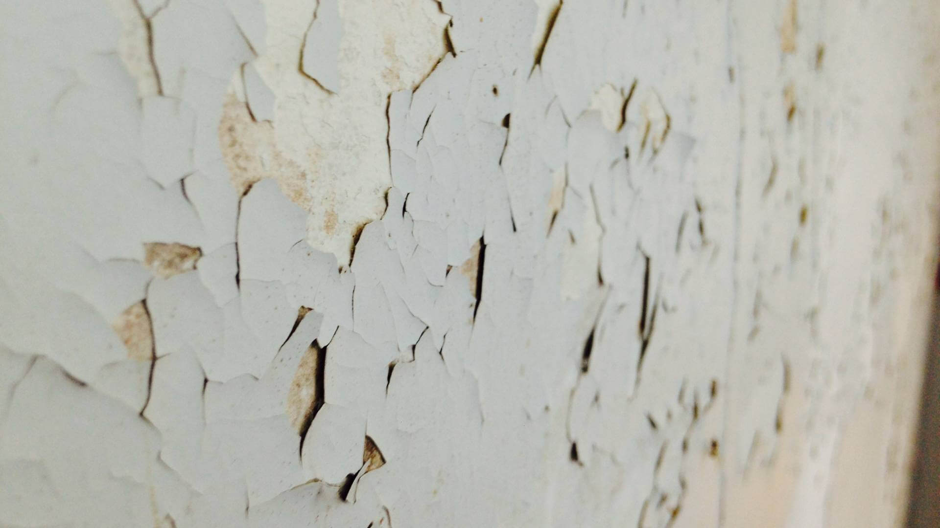 peintures au plomb